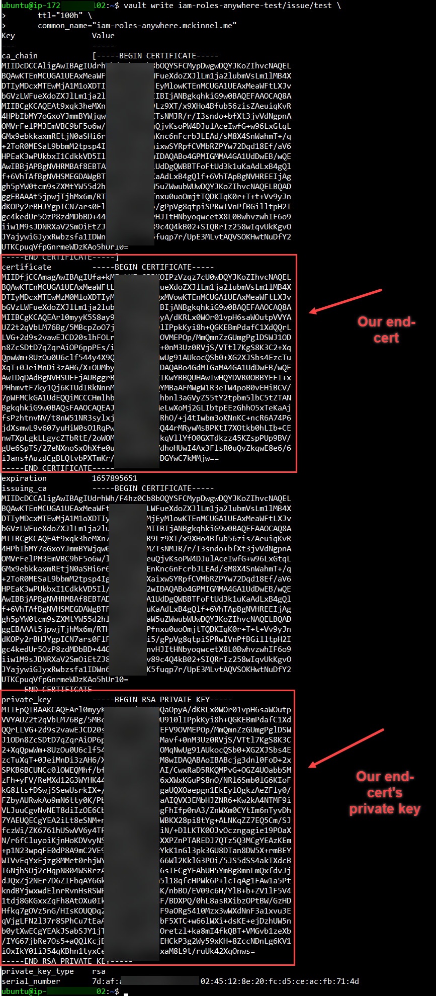 Screen shot of certificate in Vault.