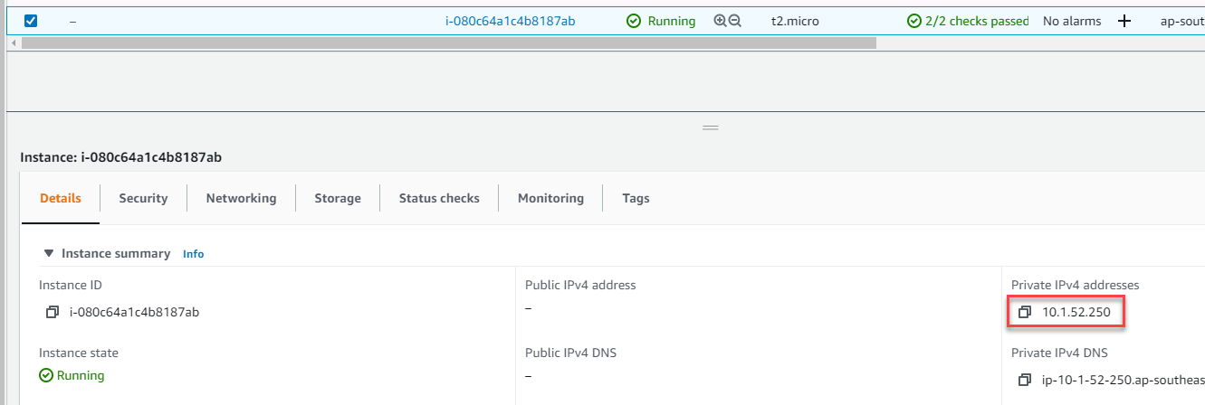 Screen shot of the test EC2 instance.
