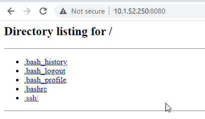 Screen shot of successfully browsing to a private website.