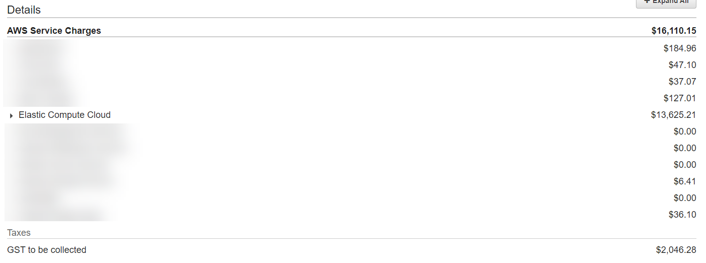 Screen shot of the AWS bill.