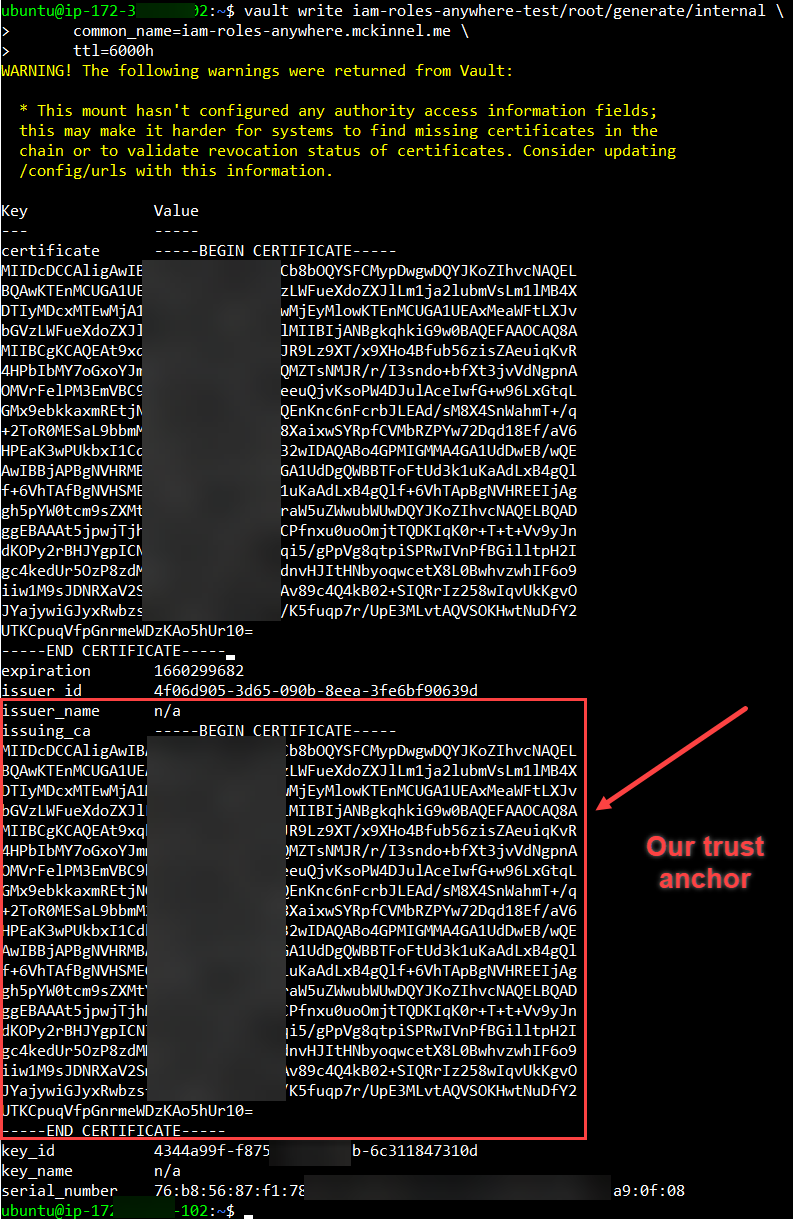 Screen shot of certificate in Vault.